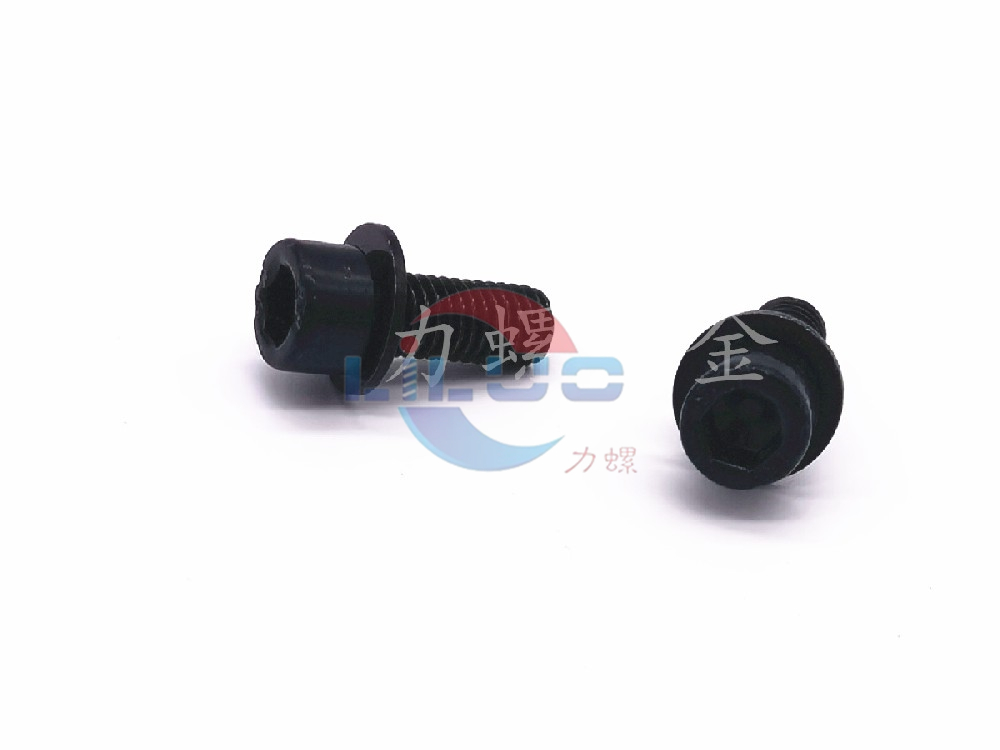 電（diàn）泳螺絲定製