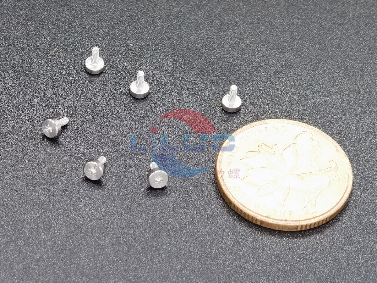 CD紋不鏽鋼螺絲M1x3