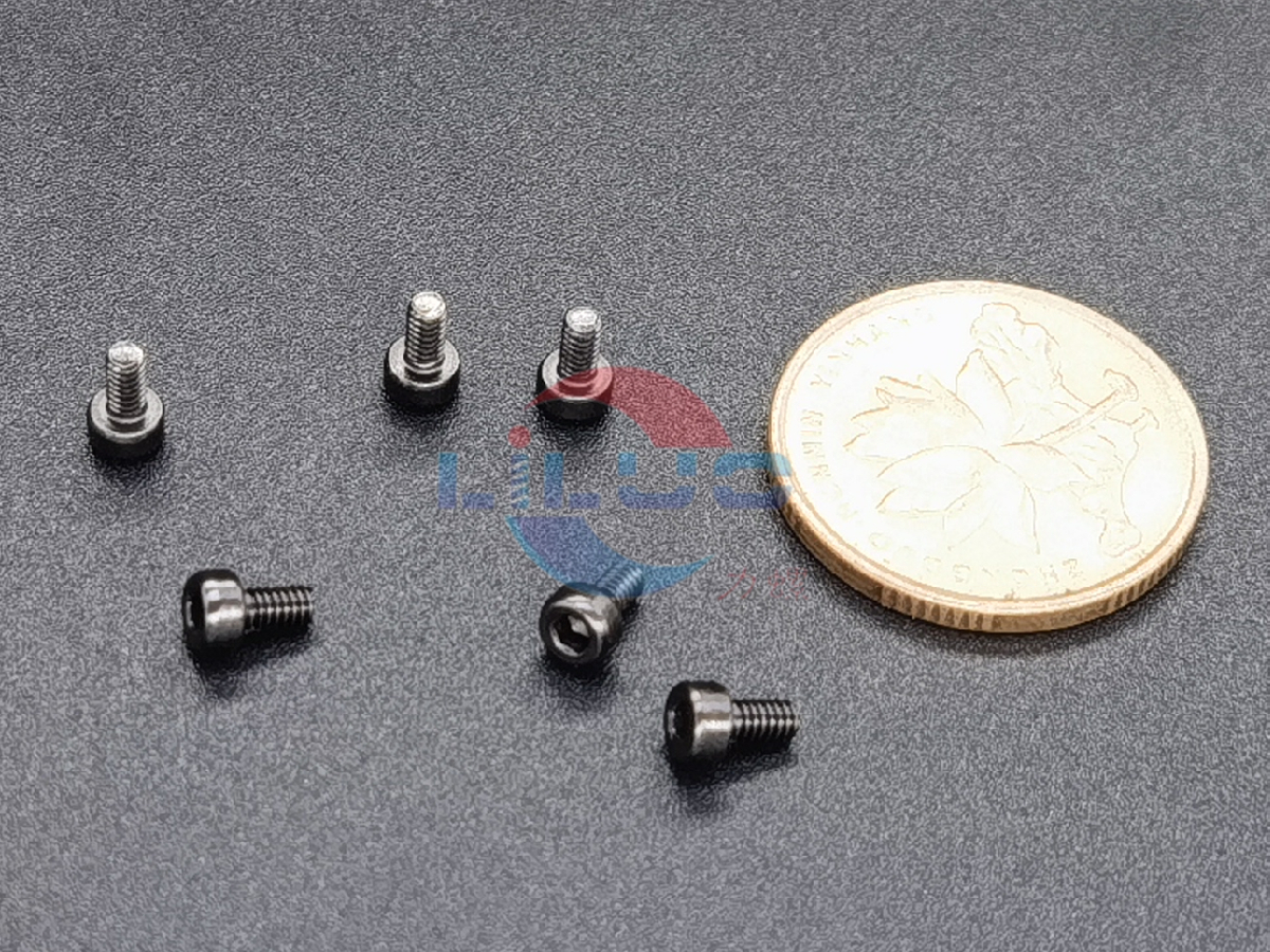 內（nèi）六角螺絲定（dìng）製M2x4