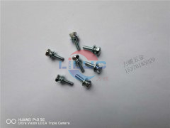 不鏽鋼平頭（tóu）螺絲定製